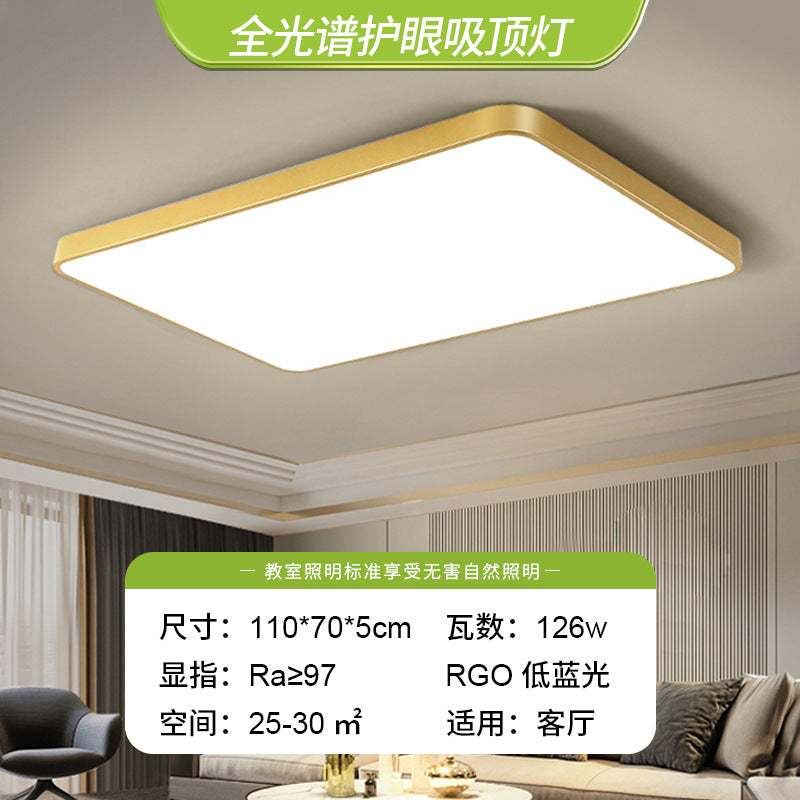 2025 new living room light hall main light simple led dining room bedroom light ceiling light whole house Zhongshan lighting