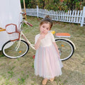 summer girls' rainbow tulle princess dress with open back - direct from the manufacturer