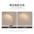 Amazon cross-border floor lamp led designer art model room living room creative arc minimalist ins fishing lamp