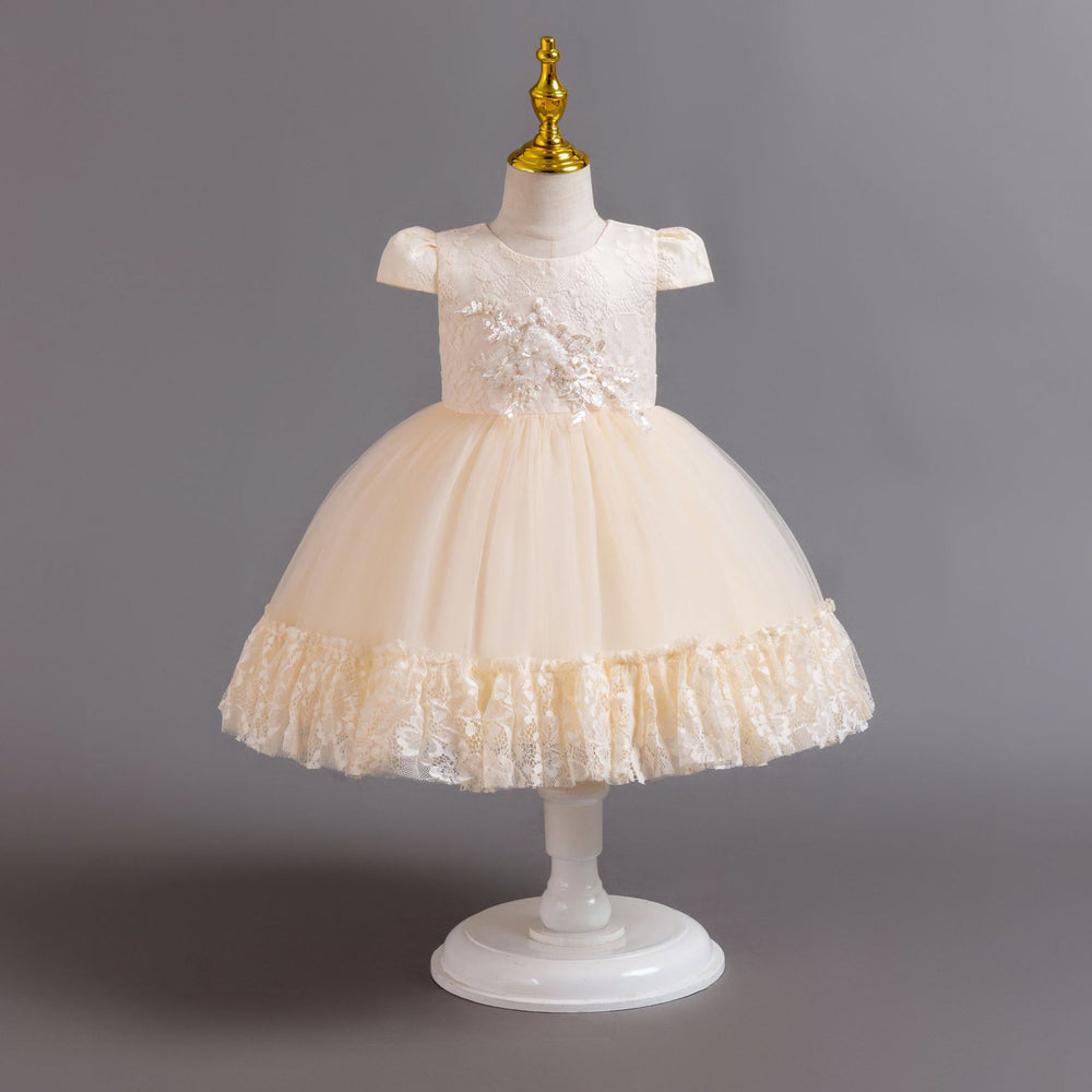 Exportin stockchildren's dresslace tutu princess dress one year old evening dress female baby dress