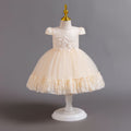 Exportin stockchildren's dresslace tutu princess dress one year old evening dress female baby dress