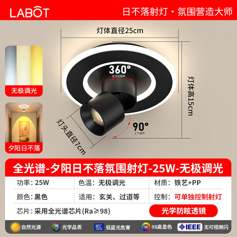 Aisle lights, corridor lights, surface-mounted projection, never-sunset atmosphere lights, entrance hall, high-end balcony led ceiling lights