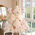 hot-selling girls' dresses, new summer collection for baby girls and toddlers, birthday and first birthday party dresses, printed princess dresses for children