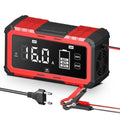 12v/24v 16a lithium iron phosphate (lifepo4) & lead-acid battery charger, 12v battery charger