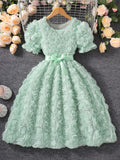 Girls' dress (sizes for mid-to-large children), 3d rose embellished dress + bow belt