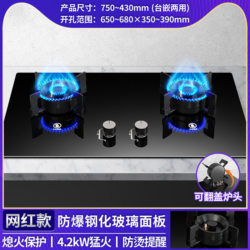 Wholesale royalstar gas stove double stove for home natural gas gas stove embedded liquefied gas energy saving fierce fire