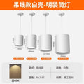 White shell with hanging wire - surface mounted super bright downlight - warm light 3000k
