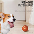 Gravity bouncing ball dog toy - durable, automatic dog teaser, self-entertaining, anti-boredom pet electric puppy toy