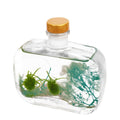 Fireless aromatherapy essential oil home bedroom office b&b fragrance ornament indoor air freshener long-lasting fragrance