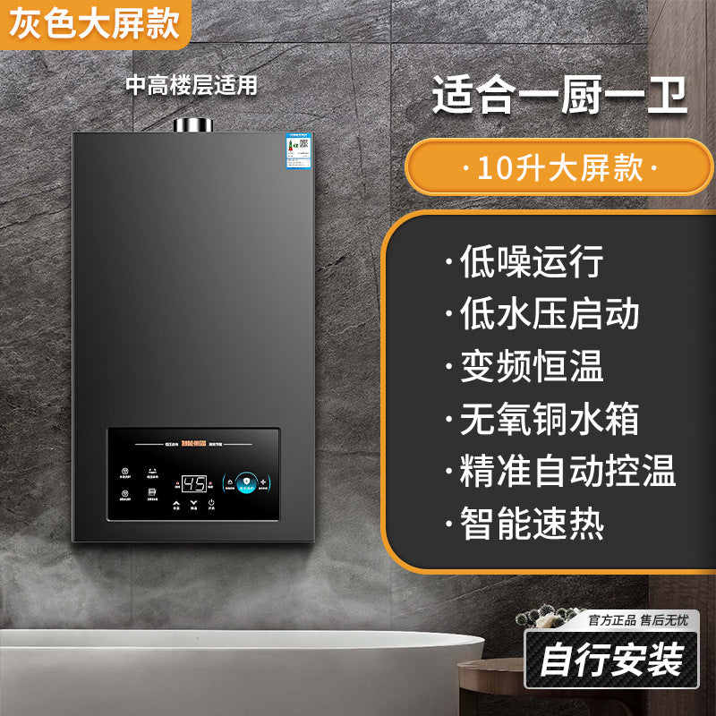 Wholesale royalstar natural gas gas water heater for home13l liquefied gas coal gas forced exhaust gas model 16 liters