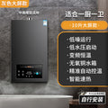Wholesale royalstar natural gas gas water heater for home13l liquefied gas coal gas forced exhaust gas model 16 liters
