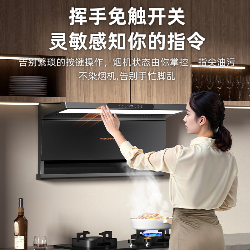Wholesale royalstar high suction range hood for homenew arrival top side double suction kitchen 7-shaped small range hood