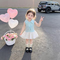 Girls' and toddler's summer tutu dress - new cute children's dress with vest - sweet baby floral princess style