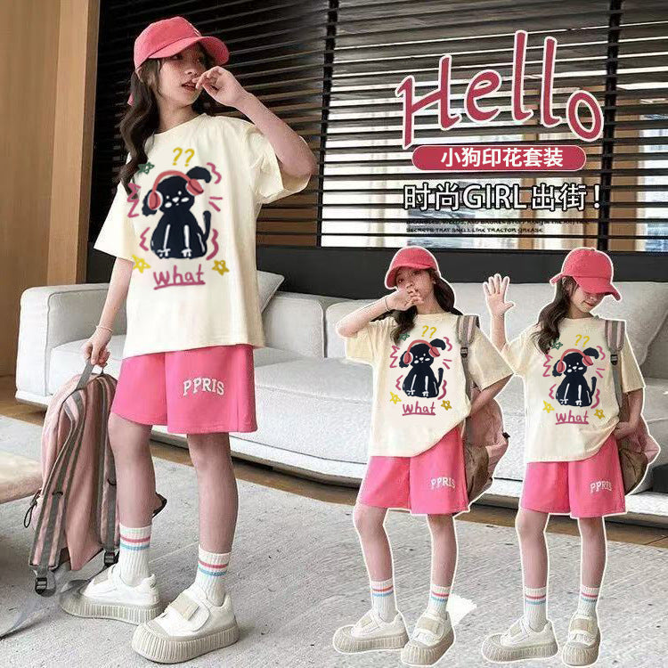 Summer  new girls' cartoon casual short-sleeve student t-shirt, loose-fit girl's outfit, hong kong style top