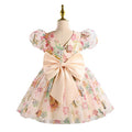 hot-selling girls' dresses, new summer collection for baby girls and toddlers, birthday and first birthday party dresses, printed princess dresses for children