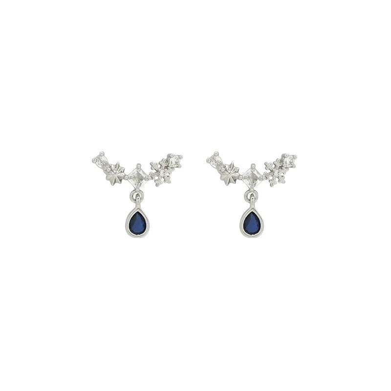 Sweet and cool style, accessible luxury, dark elegant, classy earrings, popular, cool, hip-hop, hot girl earrings, stylish accessories