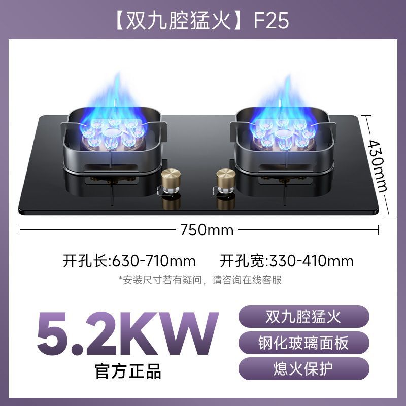 German baeda pure stainless steel 304 thickened large panel gas stove nine-chamber fierce fire table embedded fixed double stove