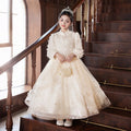 Girls' dresses: unique birthday, high-end children's piano performance outfits, flower girl dresses, little hostess dresses, princess dresses, new winter collection