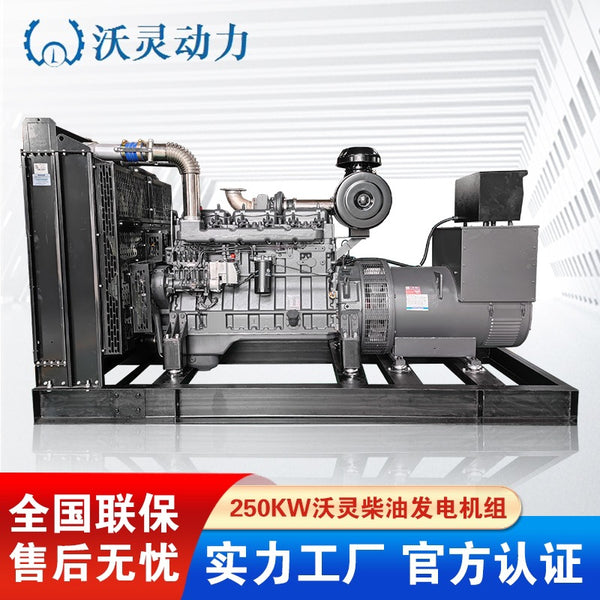 Shanghai Wolin Power Generator 250KW All Copper Brushless Diesel Generator Set, Shanghai Stanford Electric