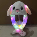 Rabbit white
