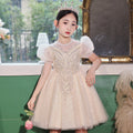 Girls' dresses wedding dresses piano performance flower girl dresses hostess dresses little girls' princess birthday performance outfits new