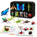 Kids' realistic insect model 4d assembly educational animal toy - mantis, fly, bug, butterfly - cognitive science educational building blocks