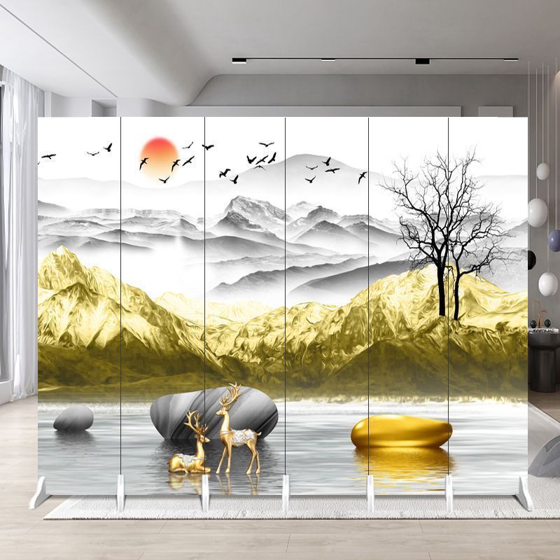 Minimalist screen partition for living room, beauty salon, office, room, home, entryway – folding and mobile