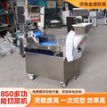 850 multifunctional vegetable cutter - double-headed vegetable slicer, shredder, dicer, and segmenter - fully automatic commercial vegetable cutting machine