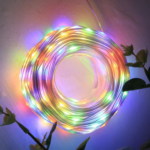 LED Leather Line Light Rubber Light Remote Control Solar Light String Outdoor Waterproof Christmas Day Garden Decoration Gypsy
