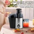 European and american standard 110-220v high-capacity multifunctional juicer - juice and pulp separation, slow juicer, home fruit juicer