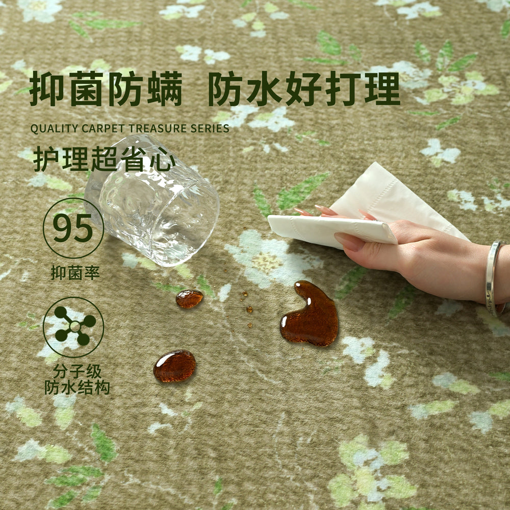 Living room carpet, no-wash, wipeable, special-shaped french retroasymmetrical sofa coffee table floor mat, large area for bedroom
