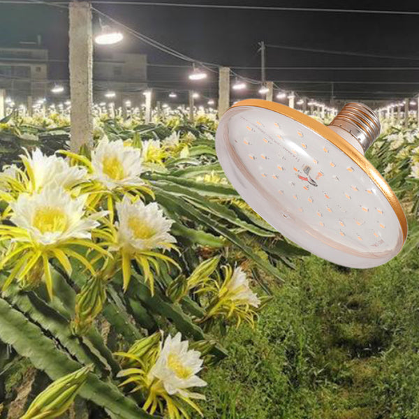 Dragon fruit filling light flower greenhouse chrysanthemum instead of sun lamp strawberry grape full spectrum plant growth lamp