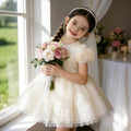 kids princess skirt tutu skirt one-year-old baby girl dress wedding dress dress foreign trade flower girl