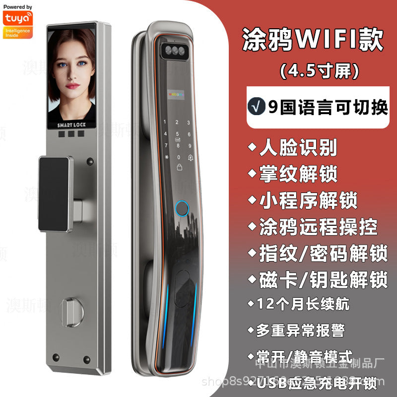 Fingerprint password lock entrance door smart lock home door lock face recognition wholesale password lock graffiti cat eye