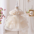 Children's formal dresses princess gowns - new cross-border collection - high-end girls' dresses - little girl's piano recital & children's day performance outfits