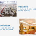 Ozone wall-mounted disinfection machine mahjong parlor breeding farm air purification formaldehyde removal sterilization wall-mounted ozone disinfection machine