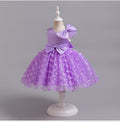 Amazon's new children's clothing skirt butterfly children's dress puffy mesh princess dress little girl model catwalk dress