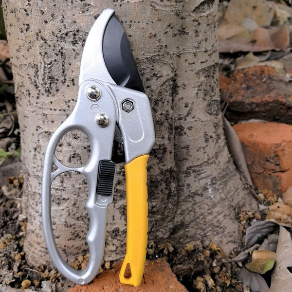 Garden pruning shears labor-saving segmented flower pruning branches special scissors to cut fruit tree branches scissors floral pruning artifact