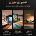 Hotel hair dryer, wall-mounted salon-style high-power hair dryer, punch-free design, home/dorm room high-speed hair dryer