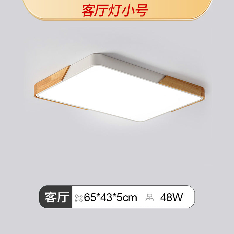 Living room light 2025 new Nordic led ceiling light simple modern creative room bedroom light Zhongshan lighting