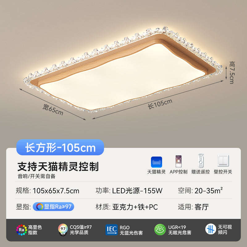 Full Spectrum Ceiling Light 2025 New Modern Simple Light Luxury Log Wind Whole House Package Combination Zhongshan Lighting