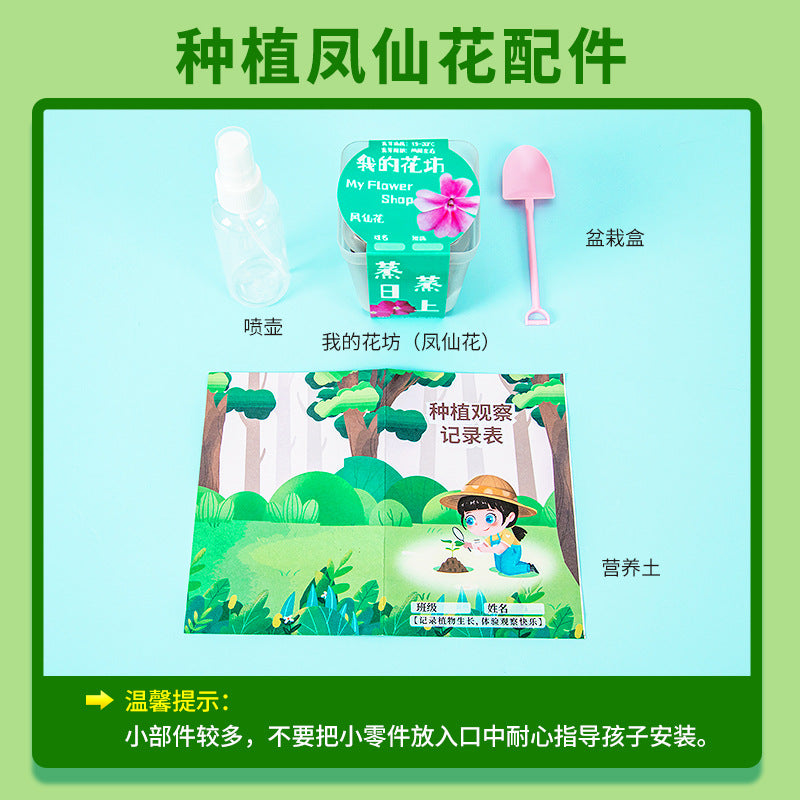 Plant Seed Planting Impatiens Fourth Grade Primary School Students Science Experiment Set Observation Homework Technology Small Production