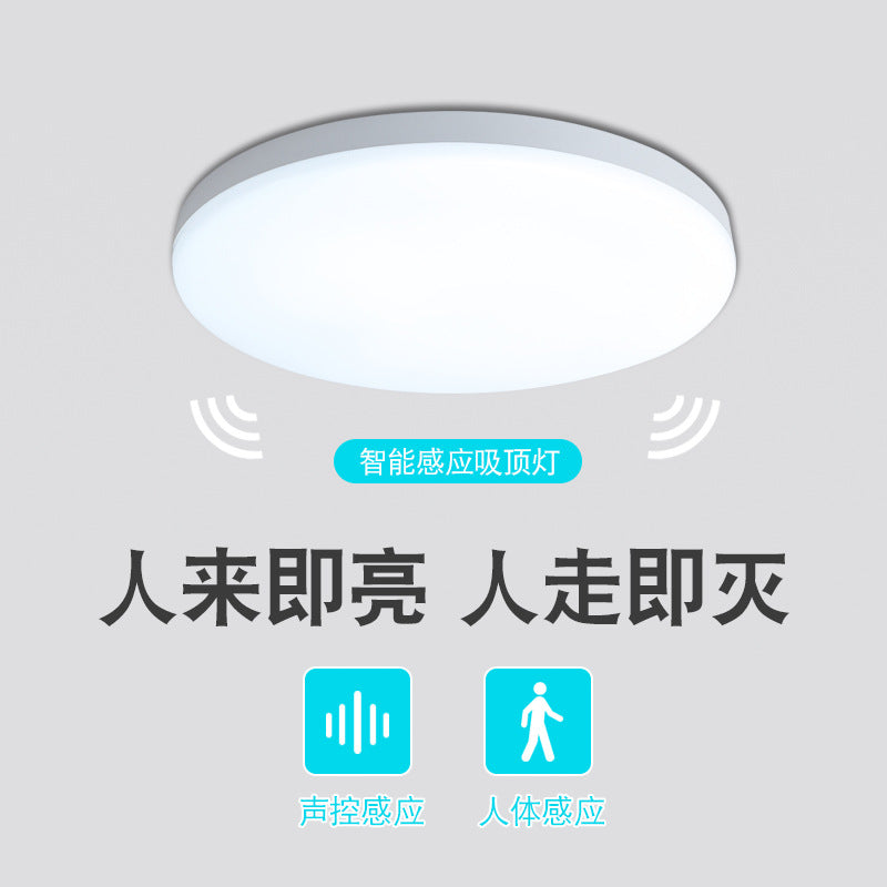 Factory wholesale LED three-proof ceiling light sound and light control radar human body induction light corridor aisle staircase lighting