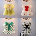 Girls' sweet princess dress -  summer collection - kids' mesh dress - trendy children's clothing wholesale