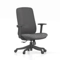 Black frame, black seat - fixed armrests