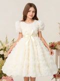 Girls' dress (sizes for mid-to-large children), 3d rose embellished dress + bow belt