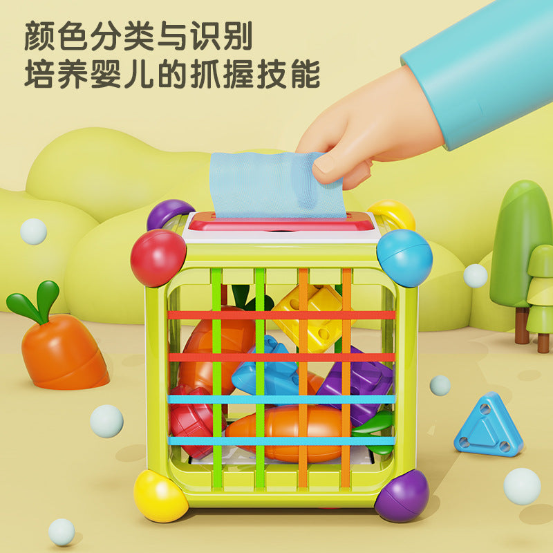 Cross-border Sessele Children's Early Education Polyhedron Hexahedron Toys Baby Puzzle Multi-play Radish Sessele