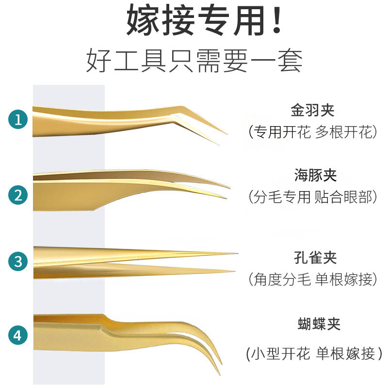 Ready-to-ship eyelash tweezers for lash artists: dolphin & gold feather precision tweezers for eyelash extensions & application - high-precision blooming tweezers - beauty tools