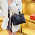 Korean style fashionable minimalist large capacity tote bag - 2025 summer new arrival - high-end versatile shoulder bag, handbag, and crossbody bag