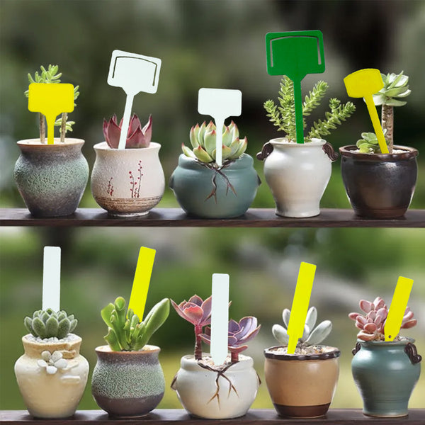 Thickened Plants Succulent Plastic for  Flowers Brand Gardening Green Plants Potted Plants Office Interior Decoration Labels